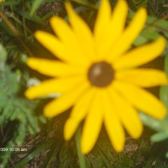 Positive Vibrations777