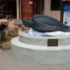 Ruth Stanton-saringer