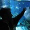 reflex@