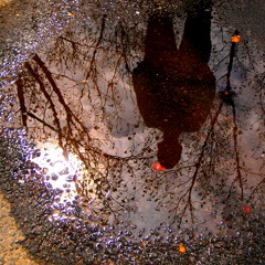 New account : /maxdjukic