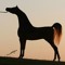 BU_3QeeL