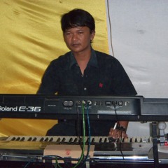 Setangkai Bunga Padi