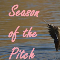 SeasonOfThePitch