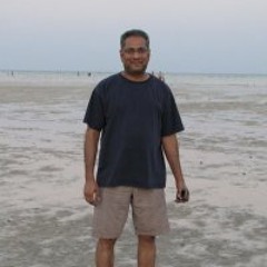 Ramdas Narayanan