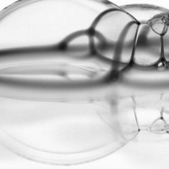 maximilian neininger