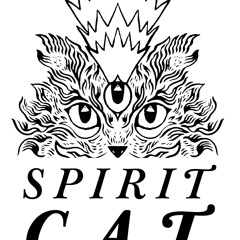 Spirit.Cat.Tapes