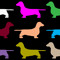 DACHSHUND