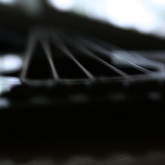 Brandon Weber - Music