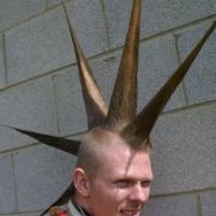 Bat Vluurmuis