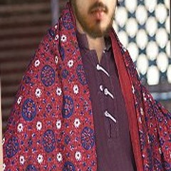 Raja Sindhi