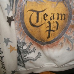 TeamP