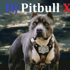 Pitbull X - Tekstyle Mania