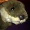 Ottermatic