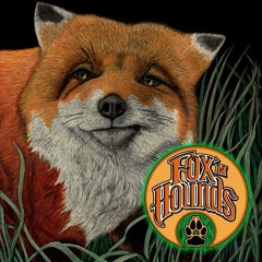 Girls Just Want To Have Fun