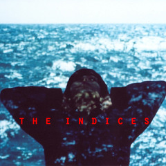 The Indices