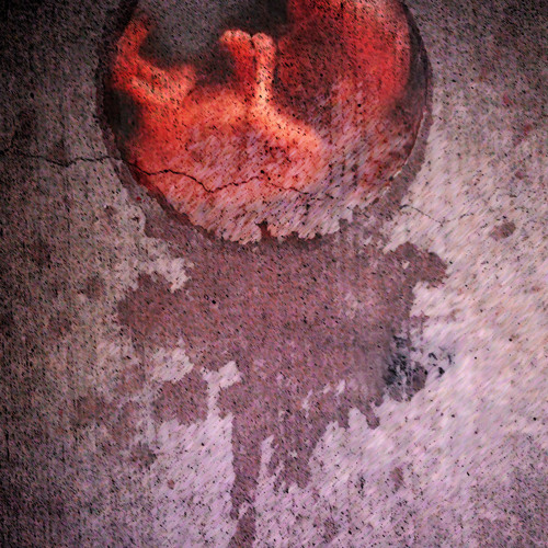 No Joy When Night Falls