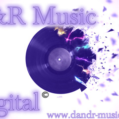 D&R-Music Digital-2012