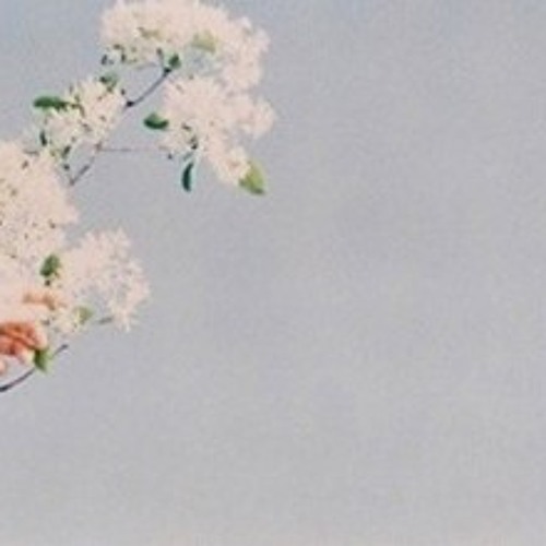 눈의꽃 (Original Title 雪の華) 박효신 미안하다 사랑한다 (KBS 미니시리즈)