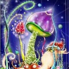 psynoise (shmulik malka)