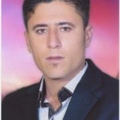 barham_aly