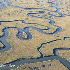 Deathrace of the Marsh