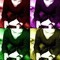 Bassem F. Marroum