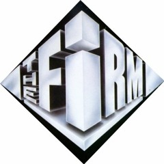 The F.I.R.M. Inc.