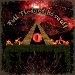 Full Fledged Assault