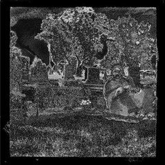 Bog Body (USA)