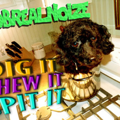 Rob Real Noize- Dirty Girl [Felt Re-Verse]