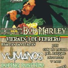 Samuel Palomares Jacuinde