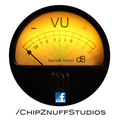 Chip Z'Nuff Studios