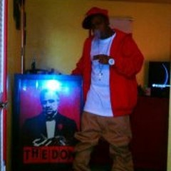 Terrio Biggucci Brown