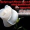 .Hardest.V'.Son.Of.God.