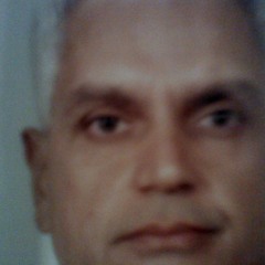 pedromaloy