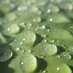 Kristian Marcus O'Dwyer