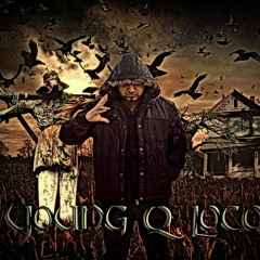 young qalawlusi loco