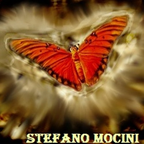 Stefano Mocini’s avatar