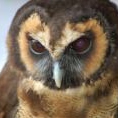 Alexander Mitchell 1