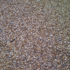 sunnyim and the size 9's