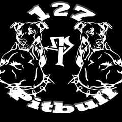 127-Pitbull