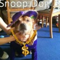 Kim Howmuchto Oldham