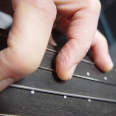 Maruszczyk Elwood 5L fretless