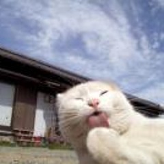 Kwang-moo Charlie Kim