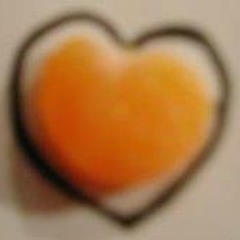 Erin-pterodactyl Cameron