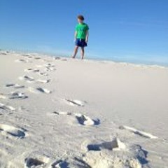 Will LaserHawk Dallery