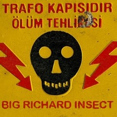 BIG RICHARD INSECT
