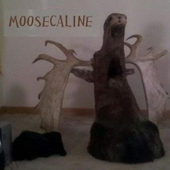 Moosecaline