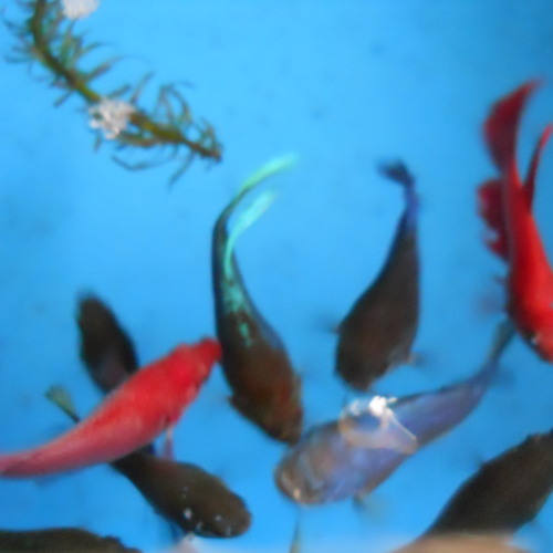 你在哪里 Jian Chan