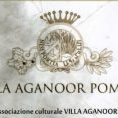 Jacinto Otto Olivelli